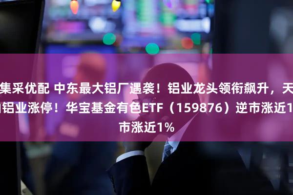 集采优配 中东最大铝厂遇袭！铝业龙头领衔飙升，天山铝业涨停！华宝基金有色ETF（159876）逆市涨近1%